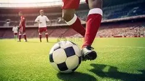 陈赫为爱女举办游乐园生日派对，众多明星助阵，揭秘陈赫家庭新成员数量